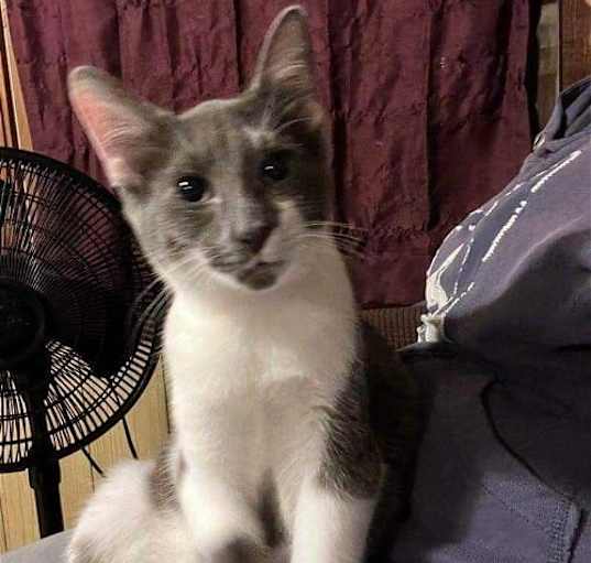 Photo of Bruce