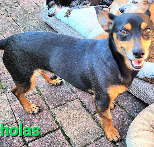 Photo of Nicholas