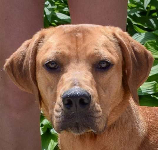Photo of Buffy