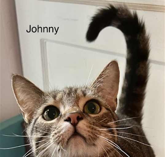 Photo of Johnny