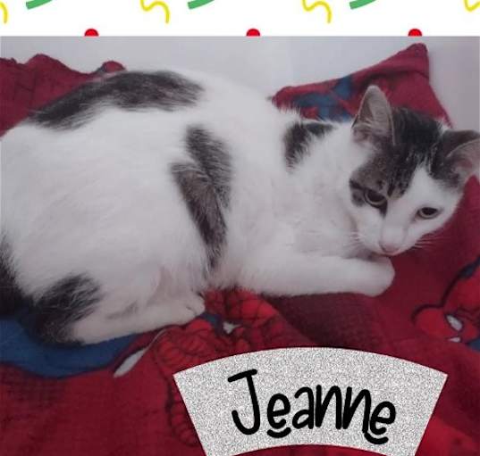 Photo of Jeanne