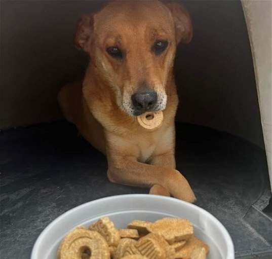 Photo of Ritz