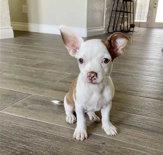 Photo of June - Cutest Little Girl