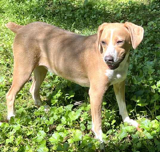 Photo of Xena