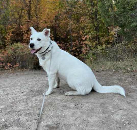 Photo of Shinju