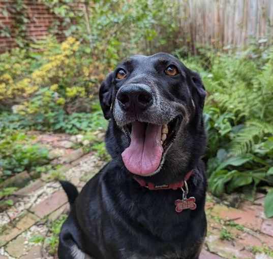 Photo of Lucy