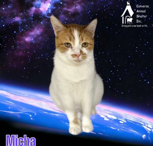 Photo of Micha