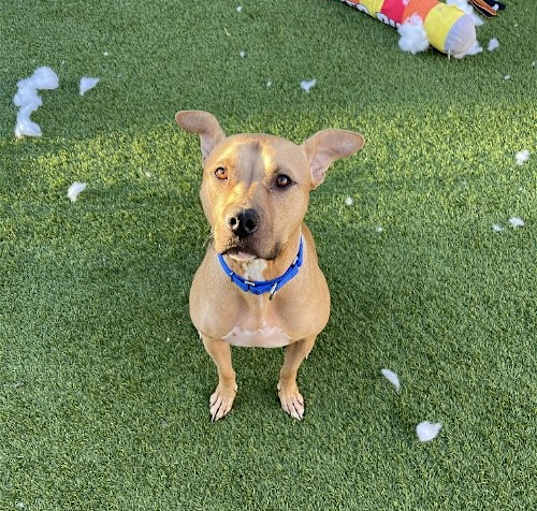 Photo of Thor