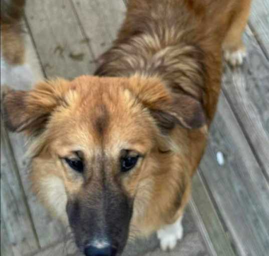 Photo of Karma (Courtesy Post)
