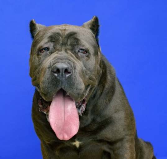 Photo of Zena