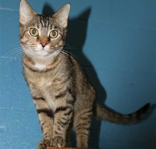 Photo of Sassy
