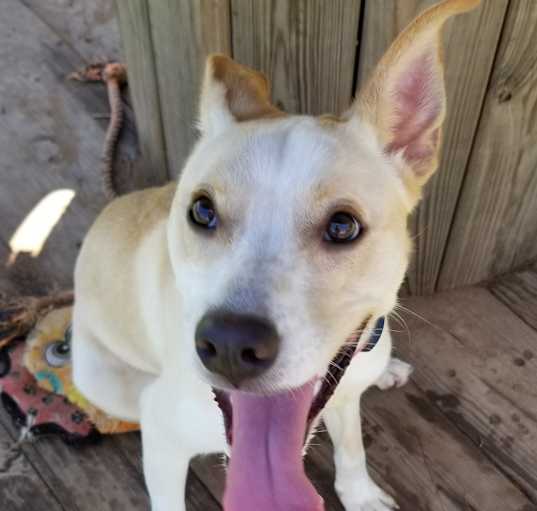 Photo of Nala Kai