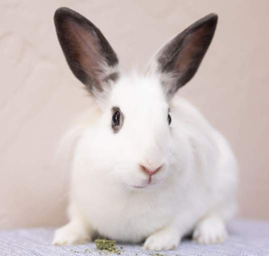 Photo of Azula