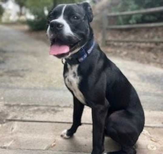 Photo of Tux