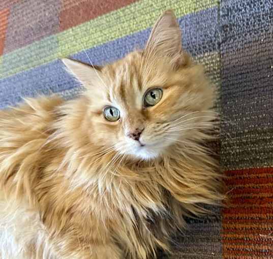 Photo of Sophie Sunshine