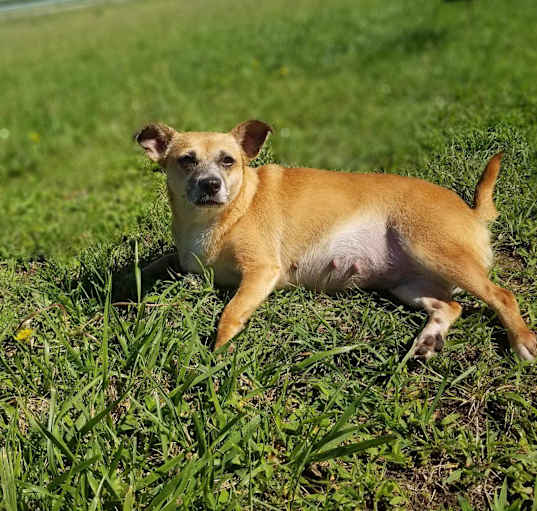 Photo of Lily