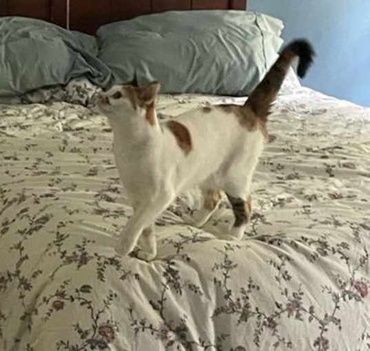 Photo of Luna