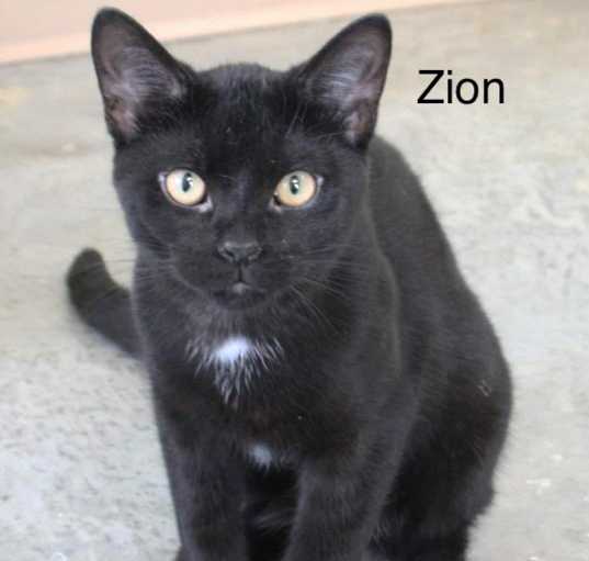 Photo of Zion