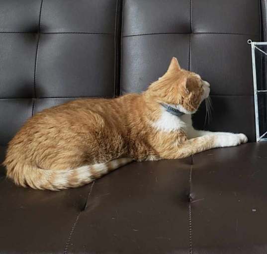 Photo of Gilbert