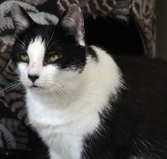 Photo of Wednesday