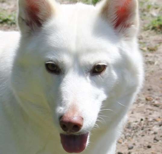 Photo of CHLOE