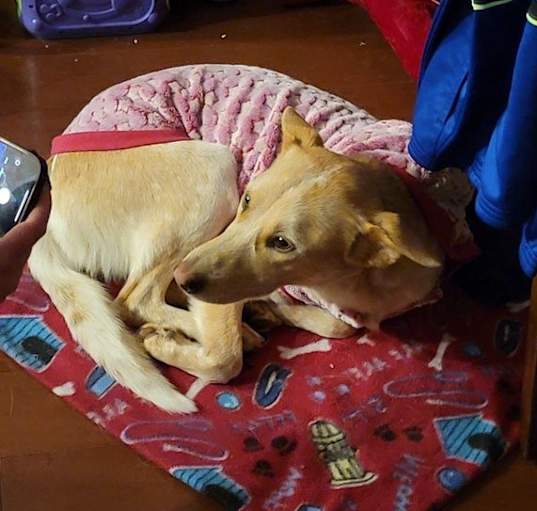 Photo of Zora
