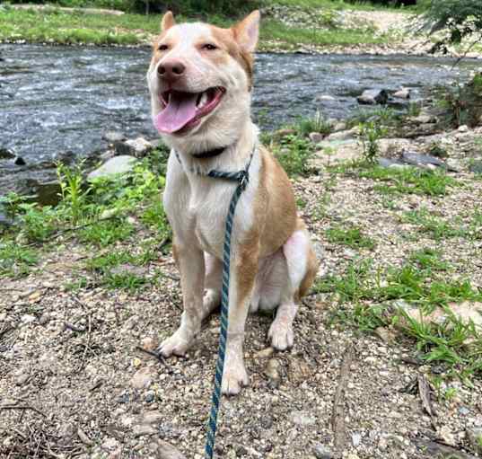 Photo of Zeus
