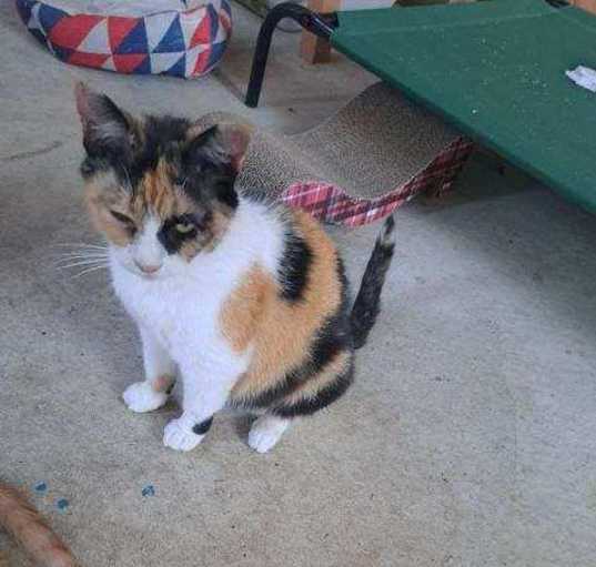 Photo of Cali