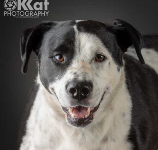 Photo of Junie