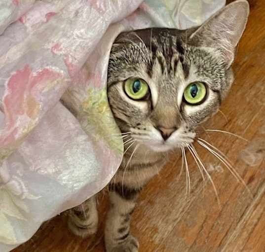Photo of Jolyne