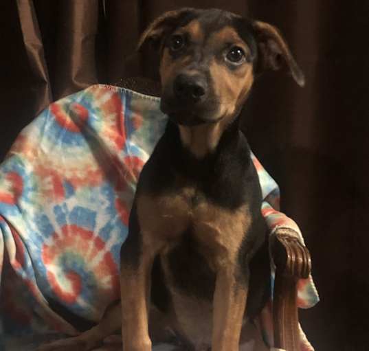 Photo of Kevin