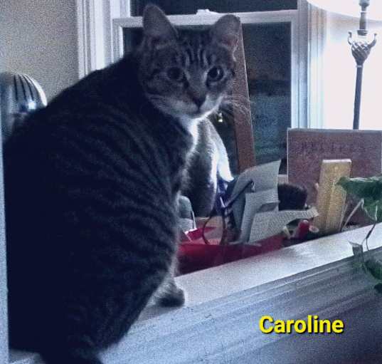 Photo of Caroline