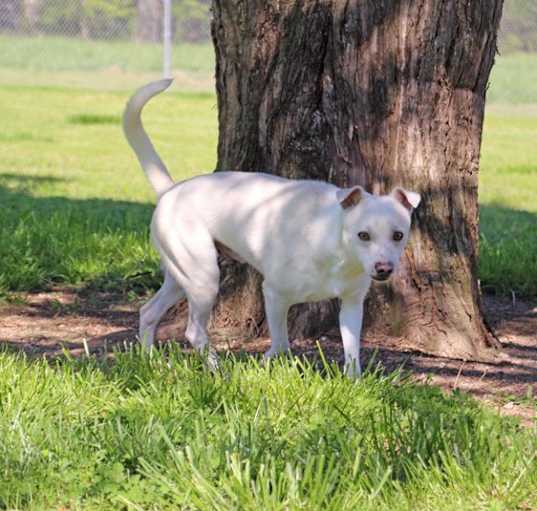 Photo of Griff