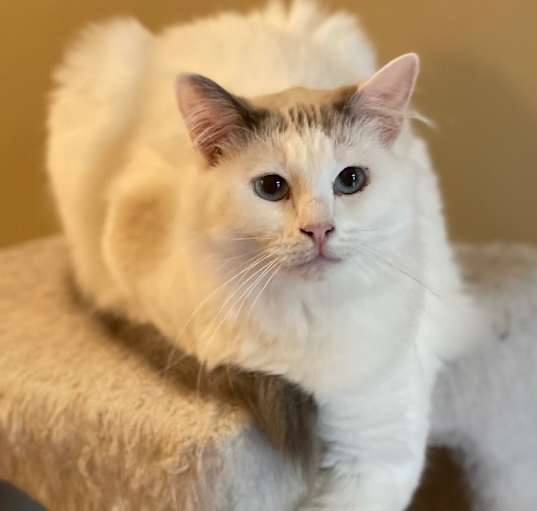 Photo of Teagan