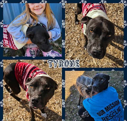 Photo of Tyrone