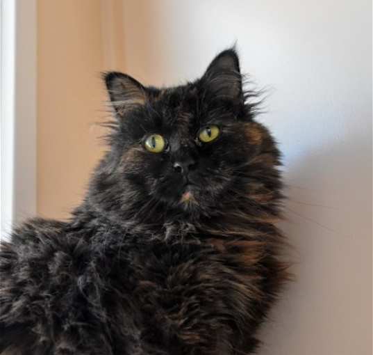 Photo of Linda