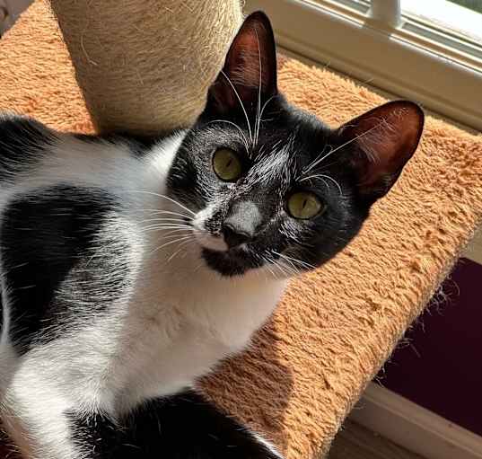Photo of Hilda