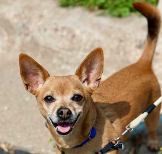 Photo of Ernie