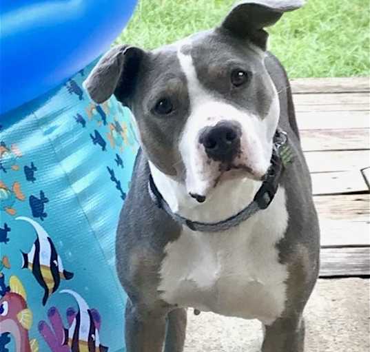 Photo of Jude