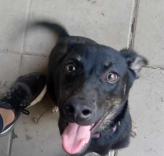 Photo of Maggie
