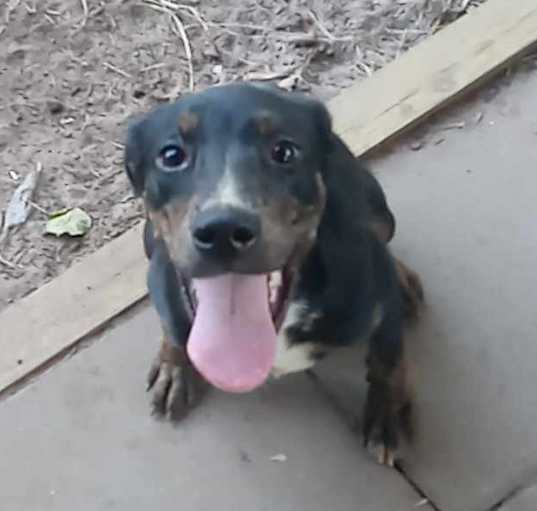 Photo of Mazie