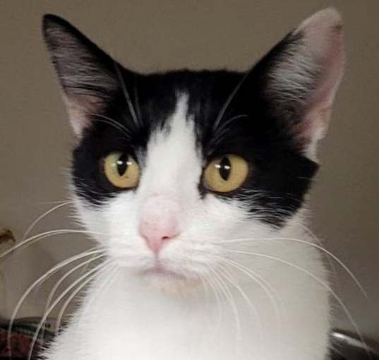 Photo of Missy