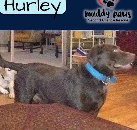 Photo of Hurley (Courtesy Post)