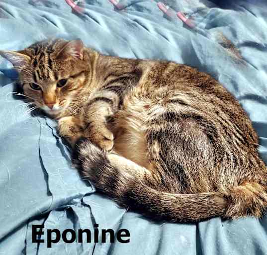 Photo of Eponine