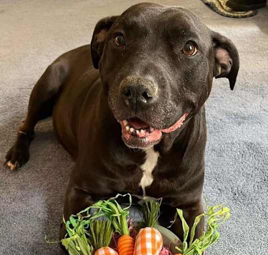 Photo of Chyna