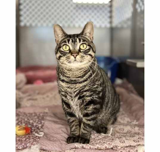 Photo of Baby Girl