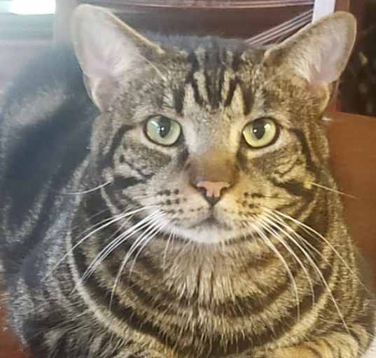 Photo of Will