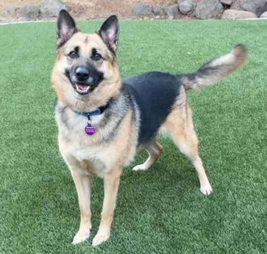 Photo of Luna D5199