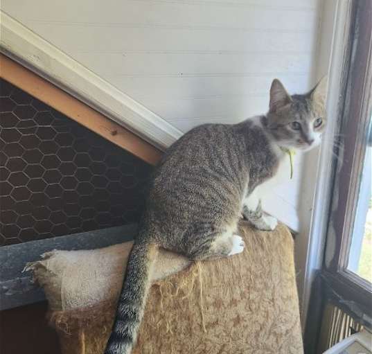 Photo of Truffle