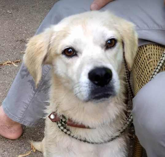 Photo of Maggie